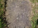 image of grave number 951751